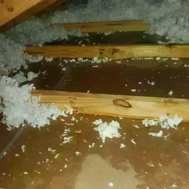 Attic Water Damage in West Point, UT